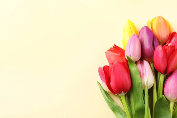 Красиві тюльпани і простір для тексту на кольоровому фоні, вид зверху. Весняні квіти — стокове фото