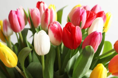 Beautiful bouquet of bright tulip flowers on light background, closeup clipart