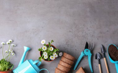Gri arka plan üzerinde bahçe ekipmanları ve çiçekler ile Düz yatıyordu kompozisyon, metin için alan