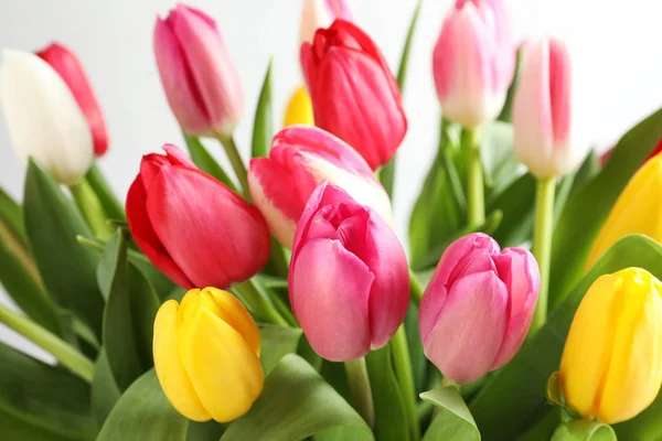 Belo buquê de flores de tulipa brilhante no fundo claro, close-up — Fotografia de Stock