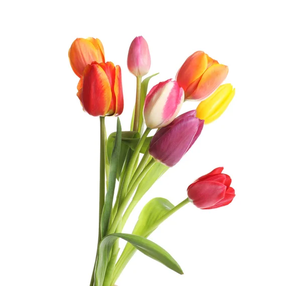 Schöne helle Tulpen auf weißem Hintergrund. Frühlingsblumen — Stockfoto