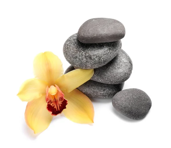Schöne Orchideenblume und Wellness-Steine auf weißem Hintergrund — Stockfoto