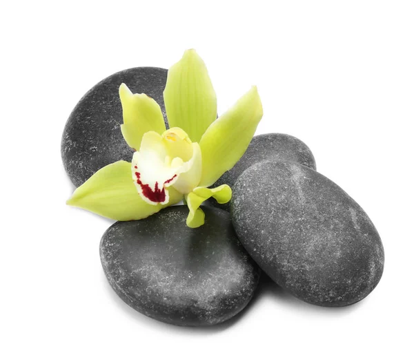 Schöne Orchideenblume und Wellness-Steine auf weißem Hintergrund — Stockfoto