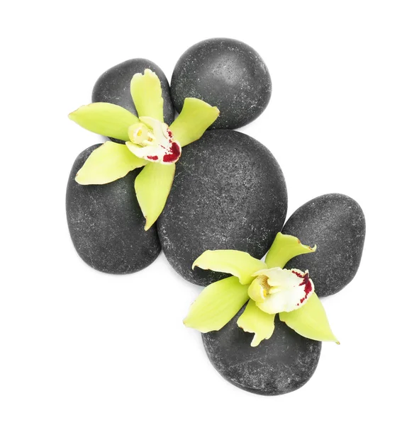 Beautiful orchid flowers with spa stones on white background, top view Stock Image