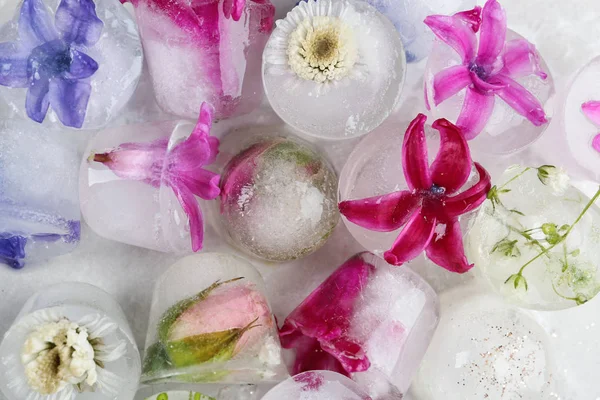 Cubos de hielo con flores sobre fondo claro, vista superior — Foto de Stock