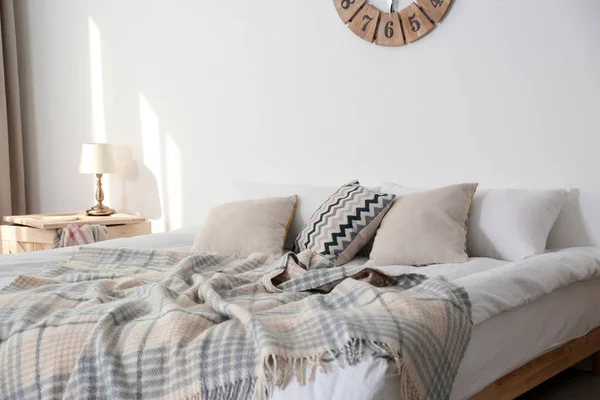 Κρεβάτι με μαξιλάρια και καρό κοντά στο φως τοίχο. Άνετο εσωτερικό σχεδιασμό — Φωτογραφία Αρχείου