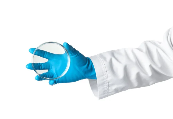 Wissenschaftler mit sauberer Petrischale auf weißem Hintergrund. chemische Forschung — Stockfoto