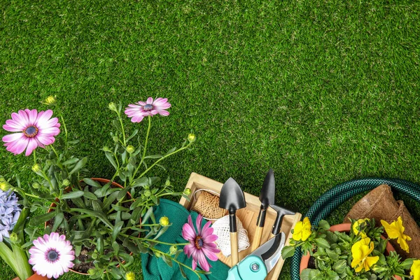 Плоская композиция с садовым оборудованием и цветами на зеленой траве, место для текста — стоковое фото