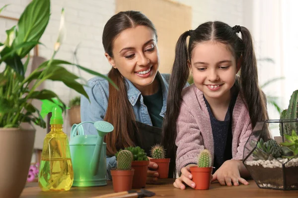 Mor och dotter tar hand om krukväxter hemma — Stockfoto