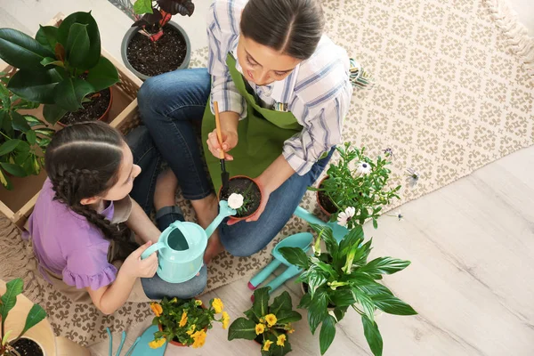 Ibu dan anak mengurus pot tanaman di lantai di rumah, pandangan atas — Stok Foto