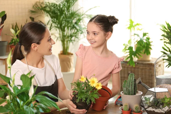 Mãe e filha transplantando planta em casa — Fotografia de Stock