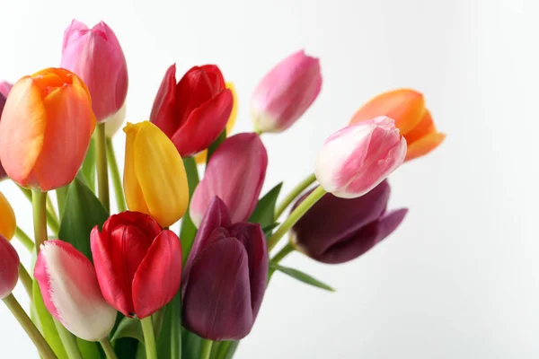 Buquê de belas flores da primavera no fundo claro — Fotografia de Stock