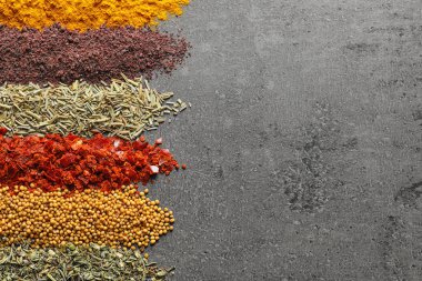 Gri arka plan üzerinde farklı aromatik baharat, metin için yer ile üst görünümden satırları
