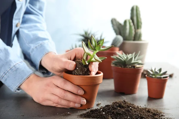 Femme transplantant la plante à la maison dans un nouveau pot à table, gros plan — Photo