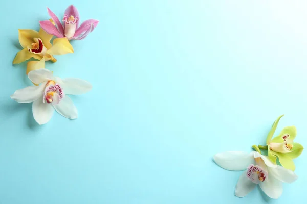 Mooie tropische orchidee bloemen op kleur achtergrond, platte lag. Ruimte voor tekst — Stockfoto