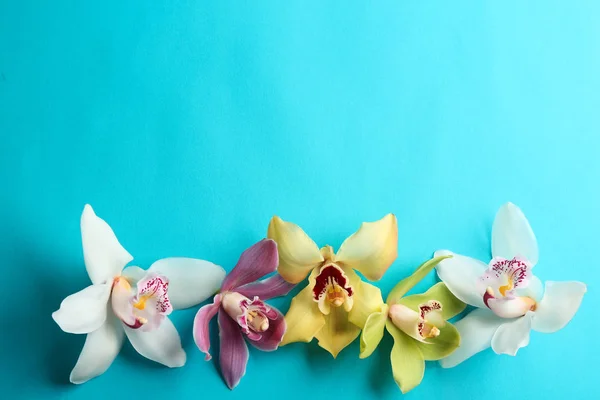 Mooie tropische orchidee bloemen op kleur achtergrond, platte lag. Ruimte voor tekst — Stockfoto