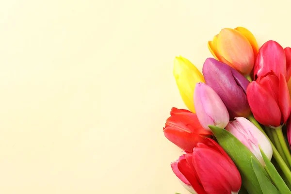 Красивые тюльпаны и пространство для текста на цветном фоне, вид сверху. Весенние — стоковое фото