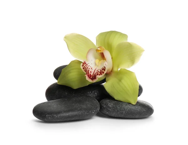 Wellness-Steine mit schöner Orchideenblume auf weißem Hintergrund — Stockfoto