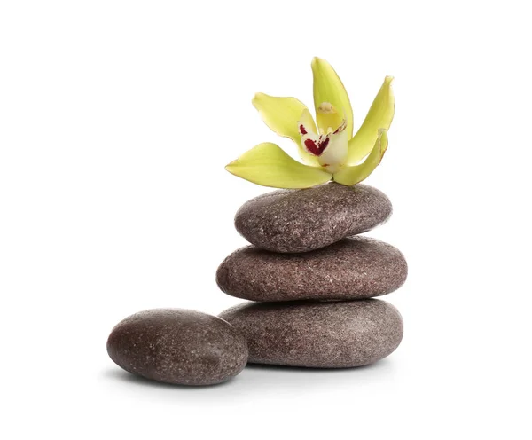 Spa stones with beautiful orchid flower on white background Stock Photo