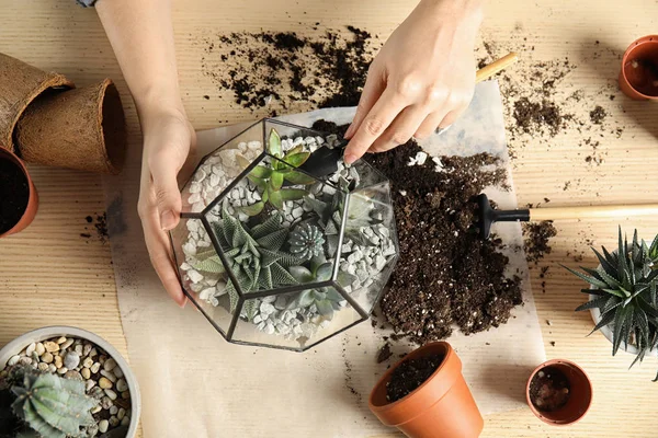 Femme transplantant des plantes de la maison dans le florarium à table, vue de dessus — Photo