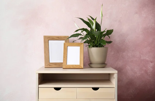 Planta Spathiphyllum y marcos de fotos en la mesa cerca de la pared de color, espacio para el diseño. Decoración del hogar — Foto de Stock