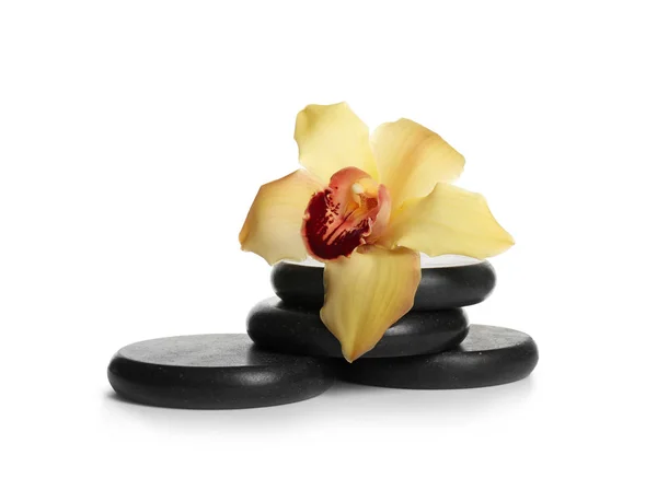 Schwarze Wellness-Steine mit Orchideenblüte auf weißem Hintergrund — Stockfoto