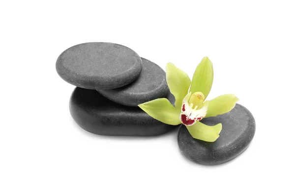 Schöne Orchideenblume und Wellness-Steine auf weißem Hintergrund — Stockfoto