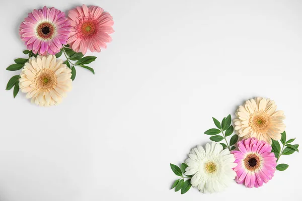 Composición plana con hermosas flores de gerberas brillantes sobre fondo blanco. Espacio para texto — Foto de Stock