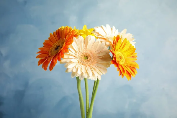 Csokor szép fényes Gerbera virágok színes háttér — Stock Fotó