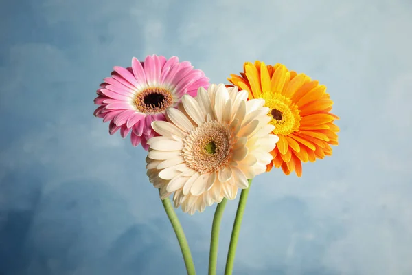 Strauß schöner heller Gerbera-Blumen auf farbigem Hintergrund — Stockfoto