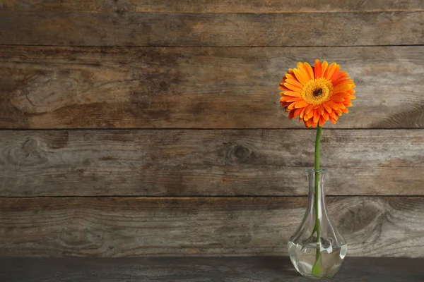 Gyönyörű fényes Gerbera virág váza a táblázat ellen, fából készült háttér. Szóköz a szöveghez — Stock Fotó