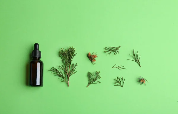 Kleine fles met etherische olie en Pine takken op kleur achtergrond, platte lay — Stockfoto