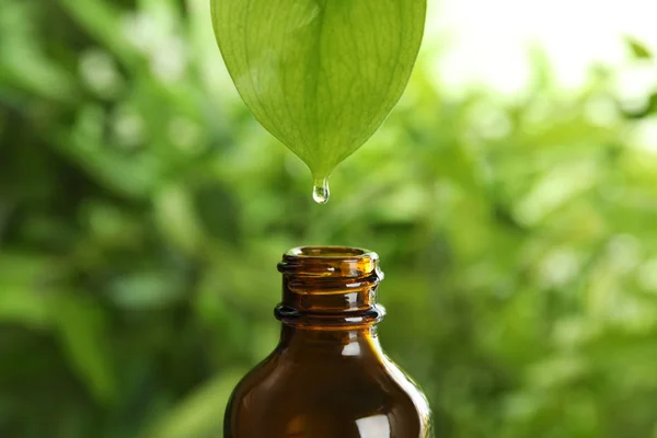 Etherische olie druipend van blad in glazen fles op onscherpe achtergrond — Stockfoto