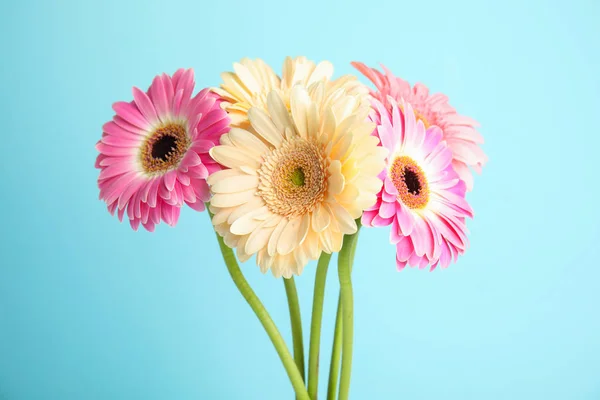 色の背景に美しい明るいガーベラの花の花束 — ストック写真