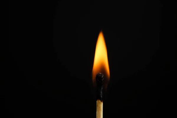 stock image Lit match on black background, closeup. Space for text