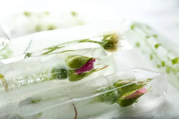 Cubes de glace avec des fleurs sur fond de marbre, gros plan — Photo