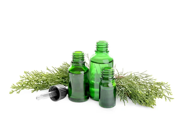 Different little bottles with essential oils and pine branches on white background — Stock Photo, Image