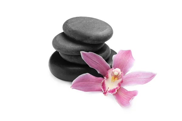 Schöne Orchideenblume und Wellness-Steine auf weißem Hintergrund — Stockfoto