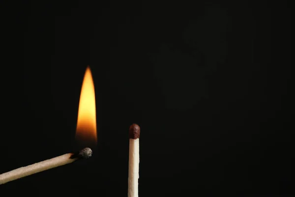 Lit and whole matches on black background, closeup. Space for text — Stock Photo, Image