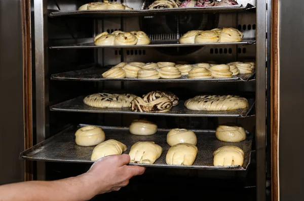 Baker putting tray with pastries into oven at workshop