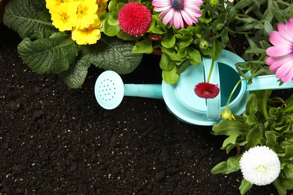 Flache Lagezusammensetzung mit Gartengeräten und Blumen auf dem Boden — Stockfoto