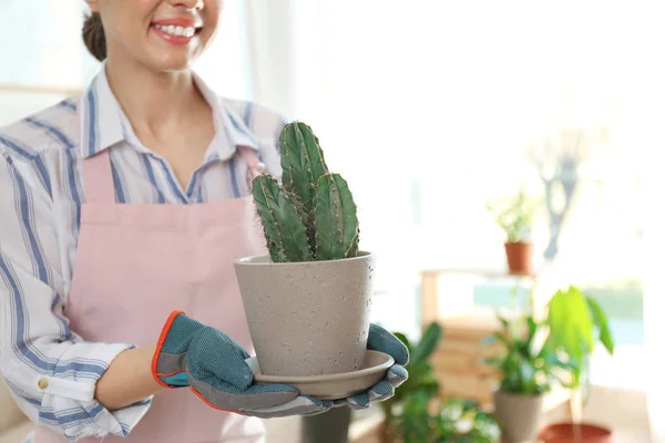 Jovem segurando panela com planta em casa, close-up. Espaço para texto — Fotografia de Stock