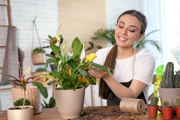 Jovem mulher cuidando de plantas em vaso em casa — Fotografia de Stock