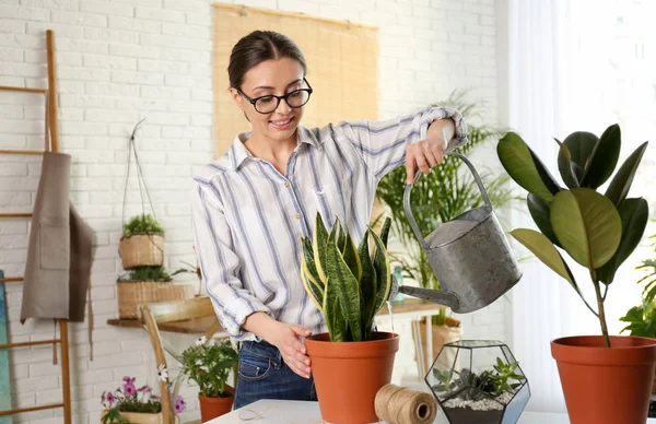 Jovem mulher regando vaso planta em casa — Fotografia de Stock