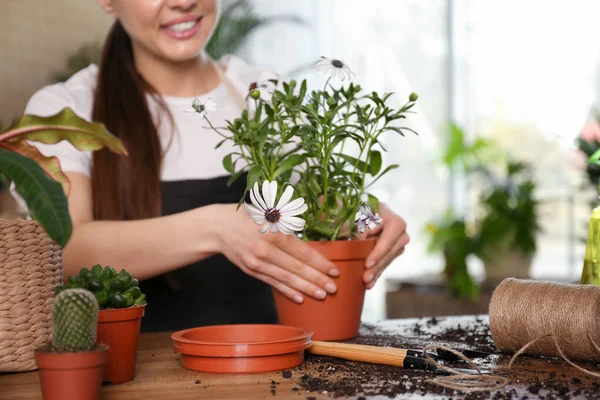 Jovem mulher cuidando de plantas em vaso em casa, close-up — Fotografia de Stock