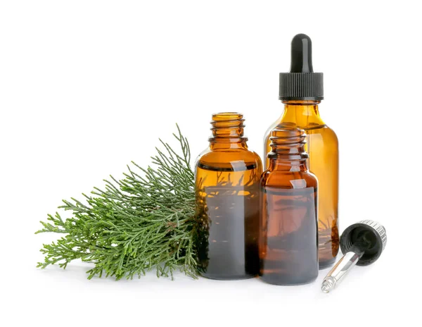 Different little bottles with essential oils and pine branches on white background — Stock Photo, Image