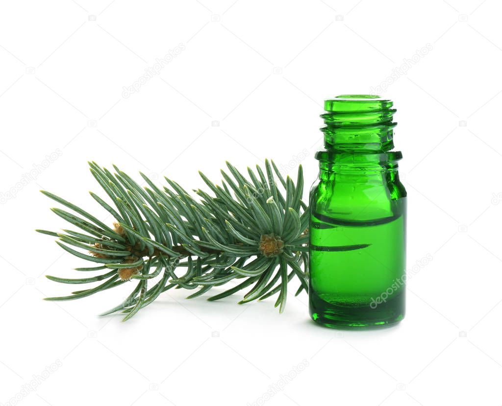 Little open bottle with essential oil and pine branch on white background