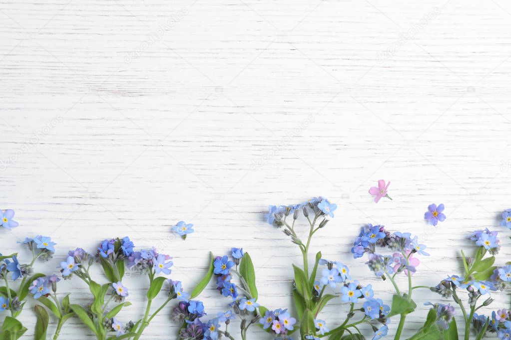 Amazing spring forget-me-not flowers and space for text on white wooden background, flat lay