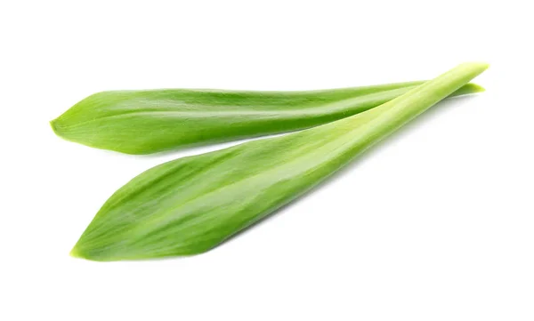 Daun bawang putih liar atau ramson terisolasi pada putih — Stok Foto