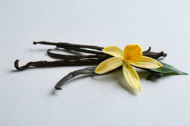 Vanilya çubukları ve açık renkli çiçek